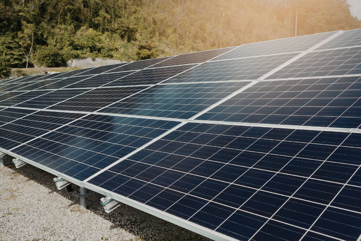 wzrost-cen-paneli-fotowoltaicznych